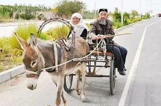 爆料二驴卖车视频在线观看,视频在线观看，惊爆眼球！