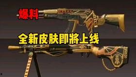 沙漠守护者爆料视频播放,揭秘沙漠生态保护背后的故事